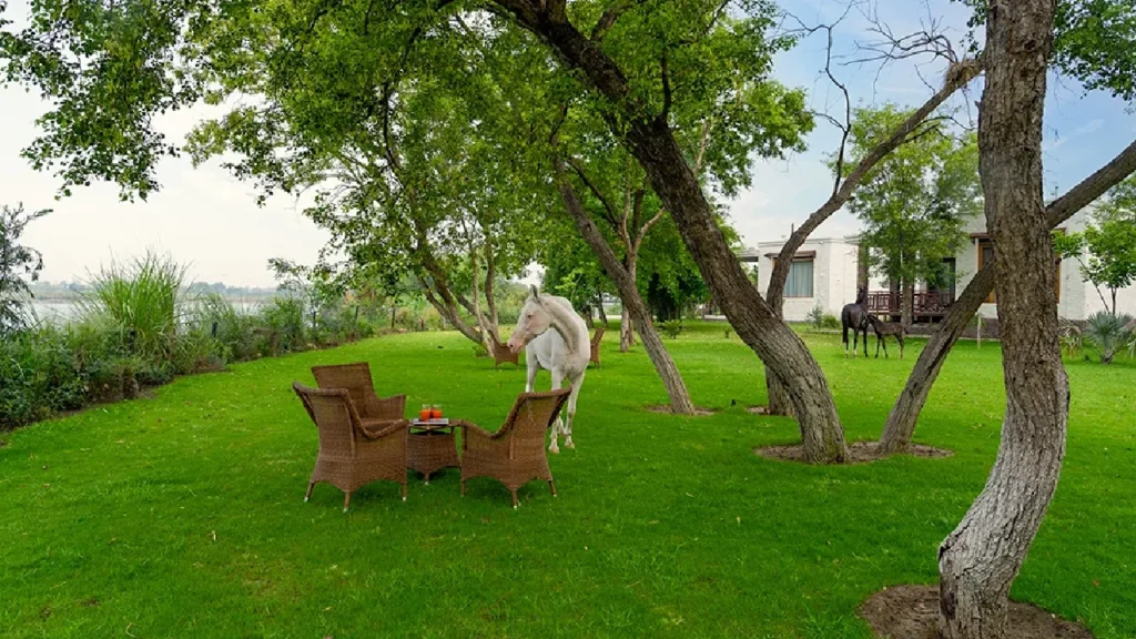 one day picnic resort near Chandigarh